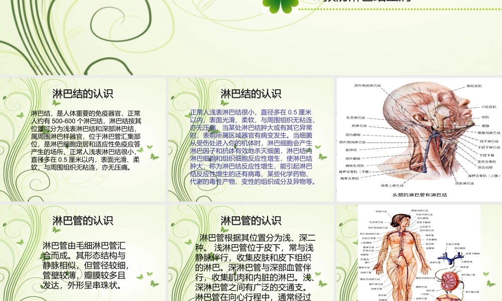 淋巴管和淋巴结.ppt