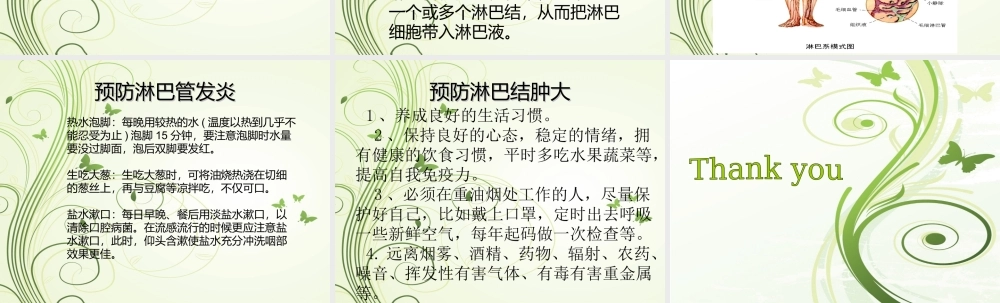 淋巴管和淋巴结.ppt