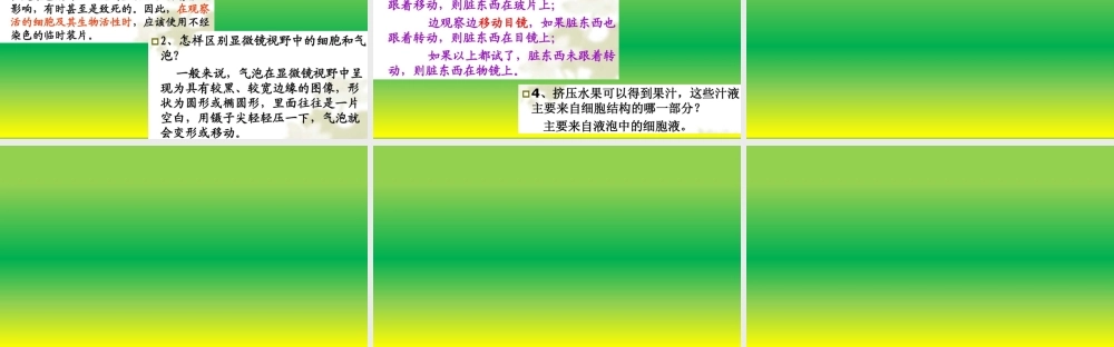 植物细胞.pptx