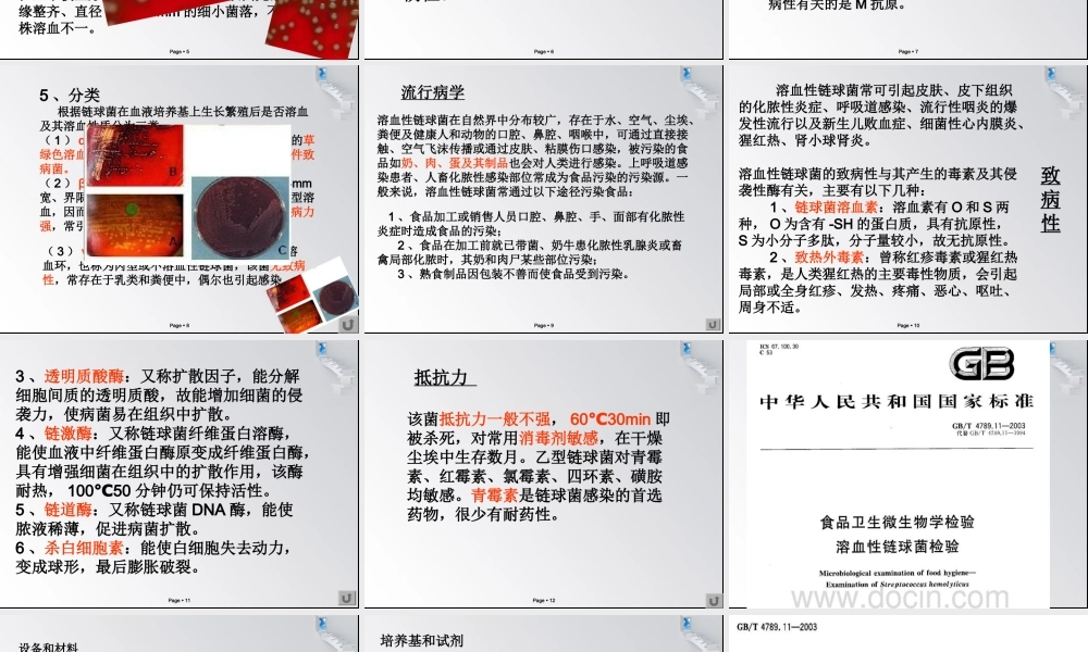 溶血性链球菌.ppt