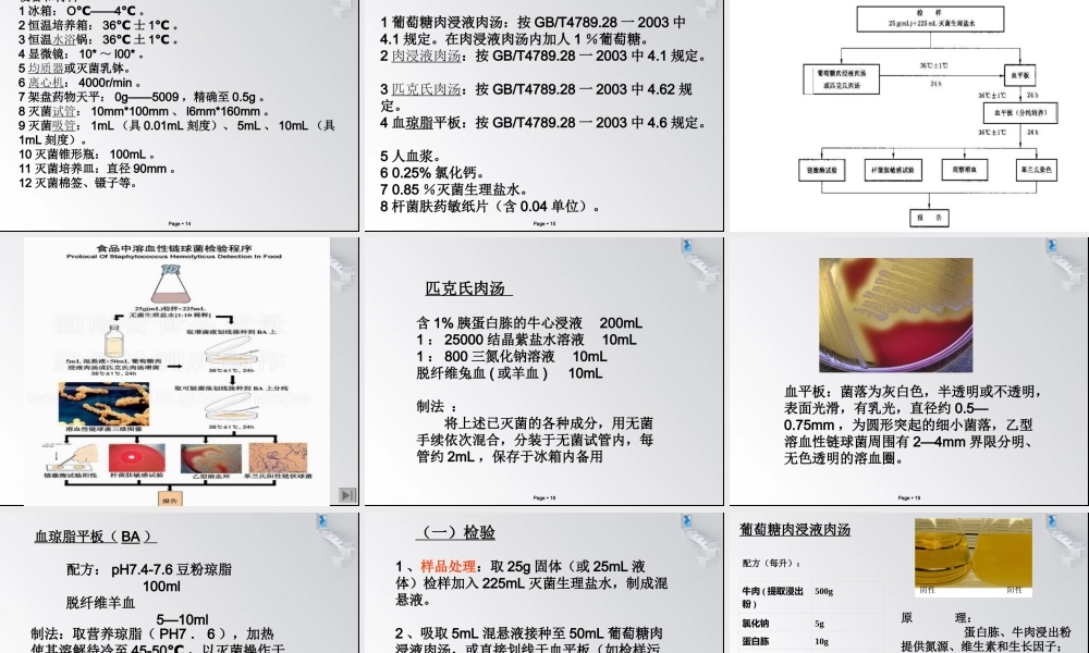 溶血性链球菌.ppt