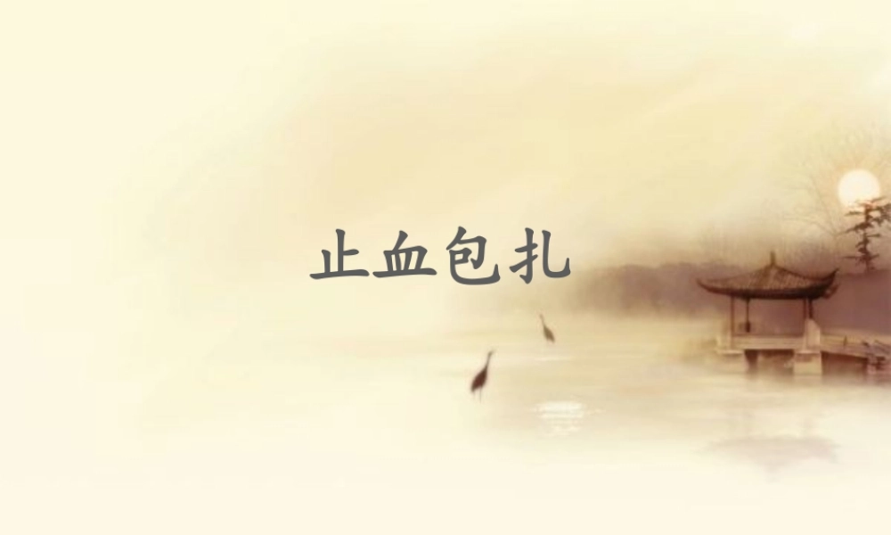 止血包扎ppt..pptx