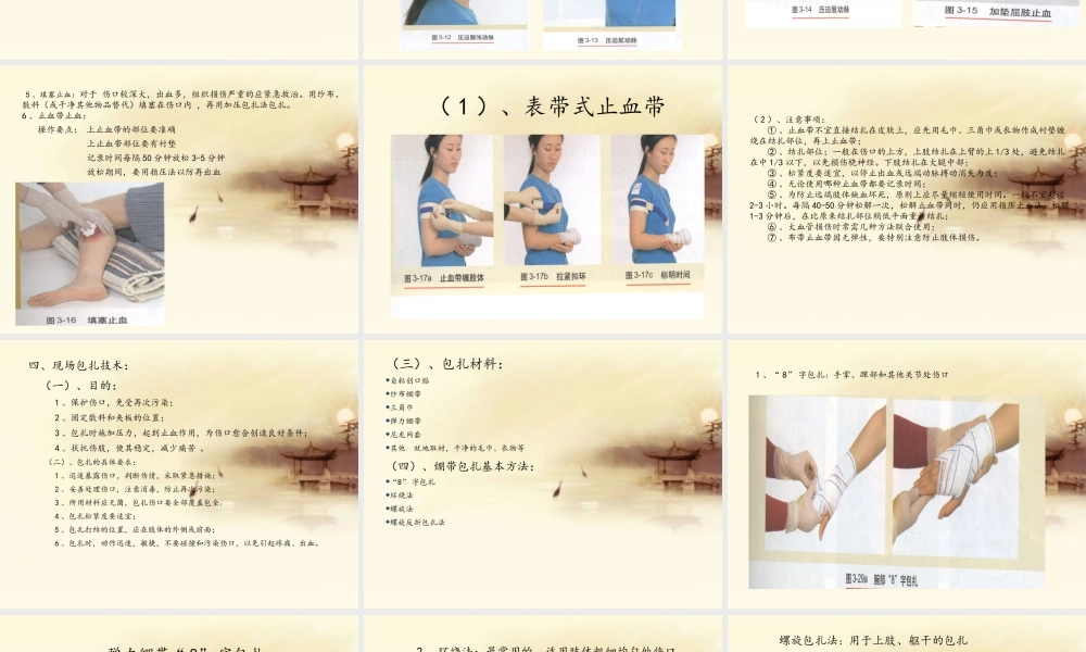 止血包扎ppt..pptx