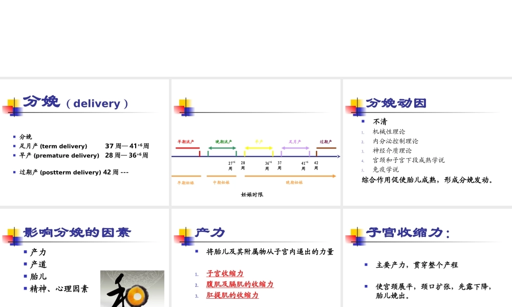 正常分娩(南方医科大学).ppt
