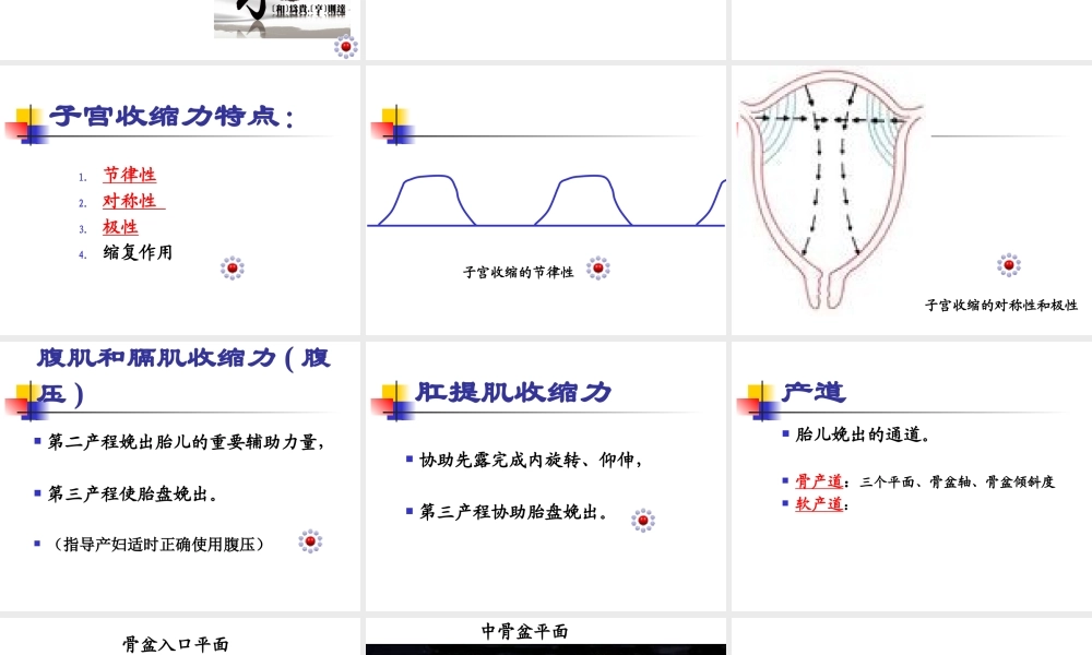 正常分娩(南方医科大学).ppt