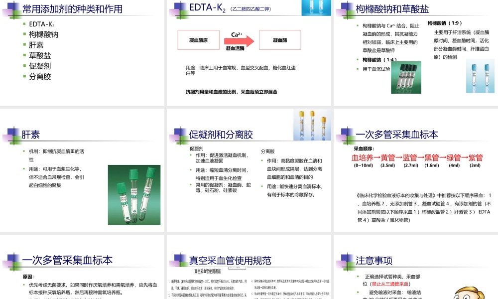 正确采集血标本.ppt