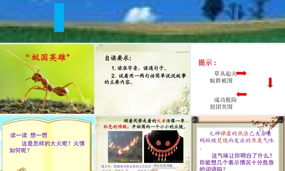 生命的壮歌之蚁国英雄.ppt.ppt