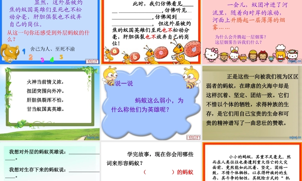 生命的壮歌之蚁国英雄.ppt.ppt