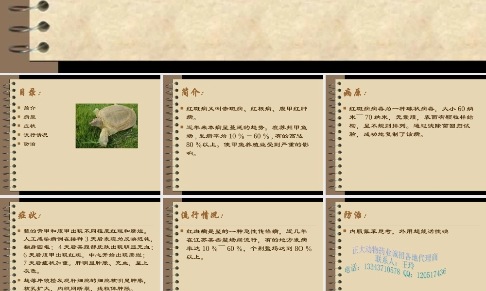 甲鱼红斑病简介.ppt