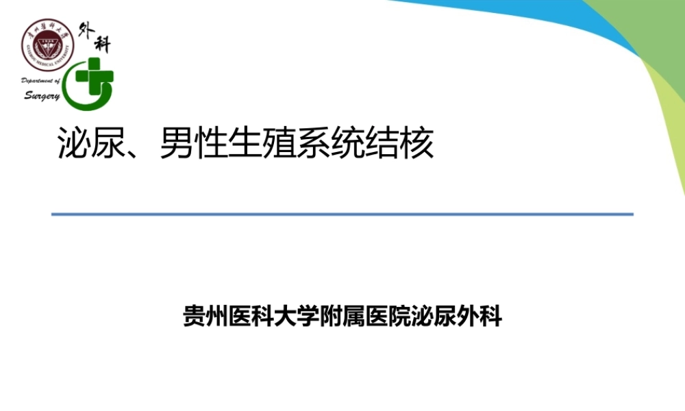 泌尿系结核.pptx