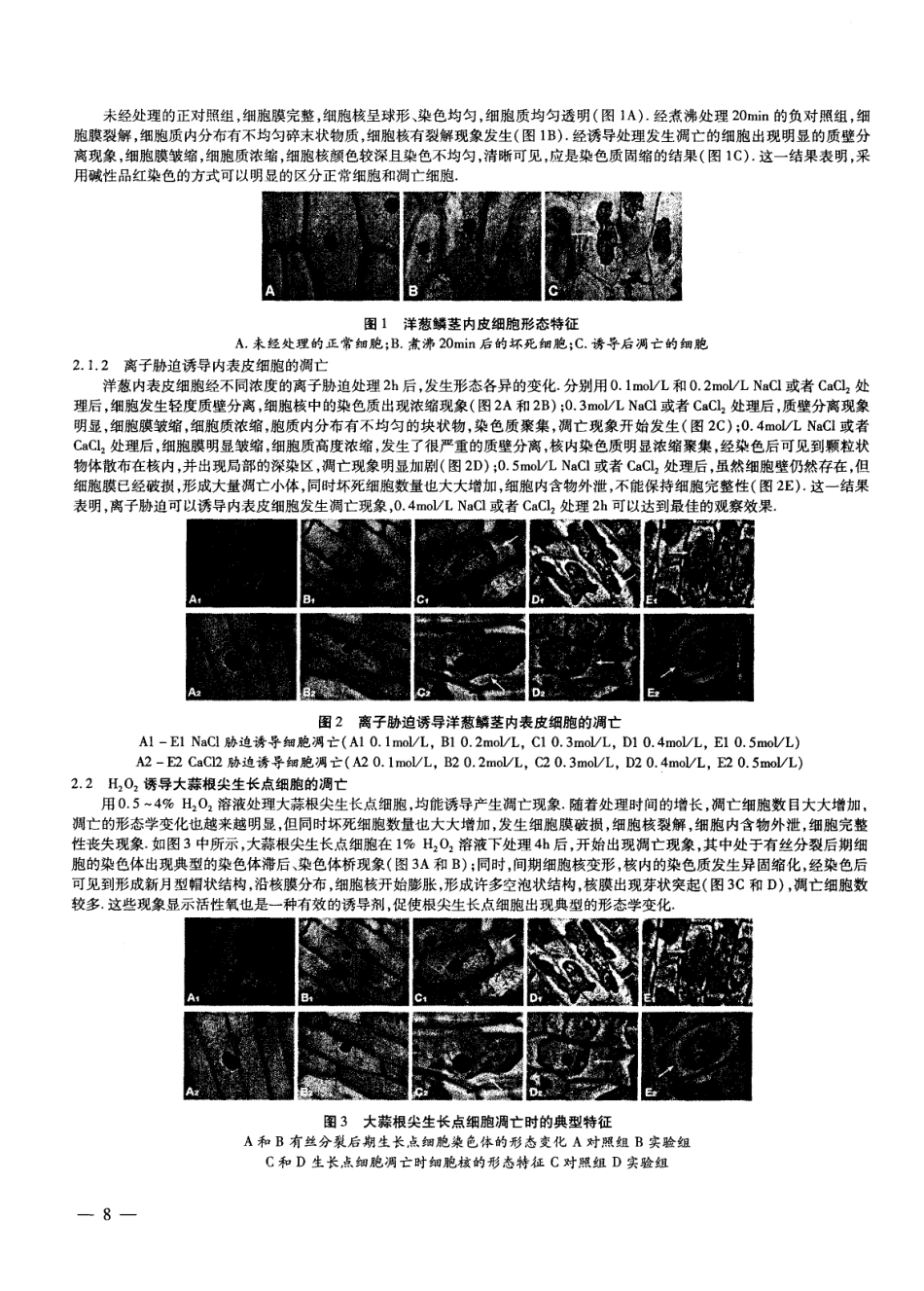植物细胞凋亡的诱导及检测.pdf_第2页
