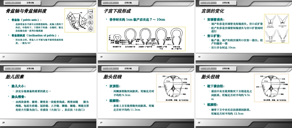 正常分娩.ppt