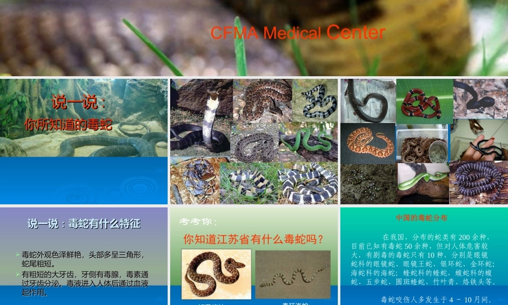 毒蛇咬伤急救篇.ppt