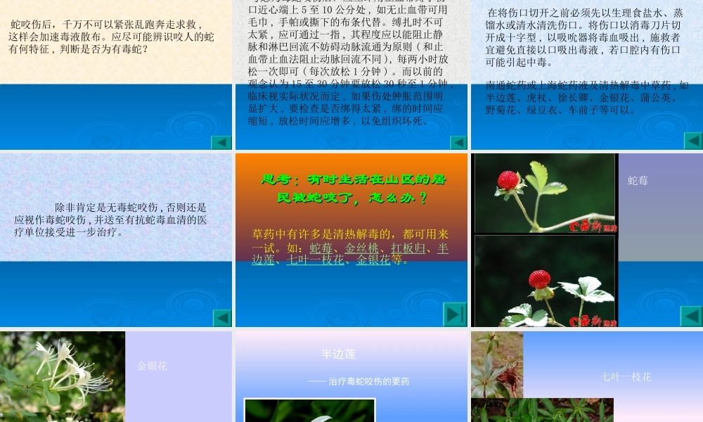 毒蛇咬伤急救篇.ppt