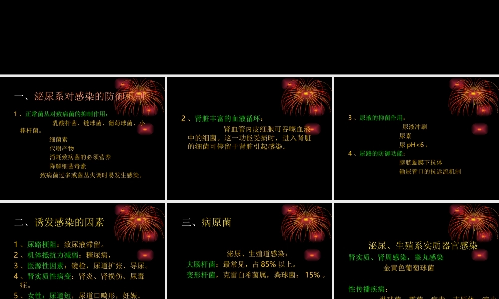 泌尿、男生殖系感染.ppt