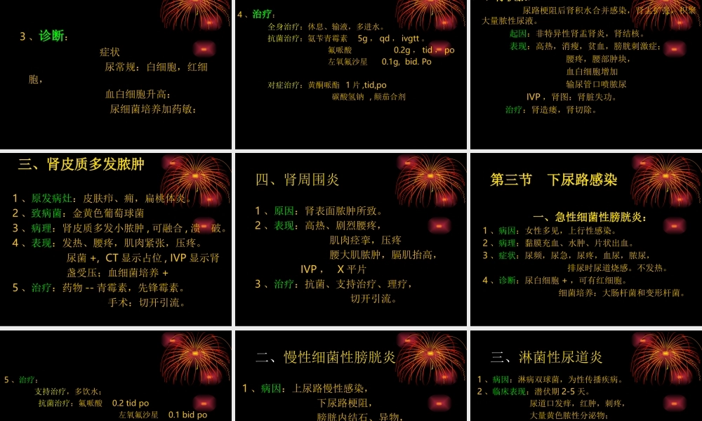 泌尿、男生殖系感染.ppt