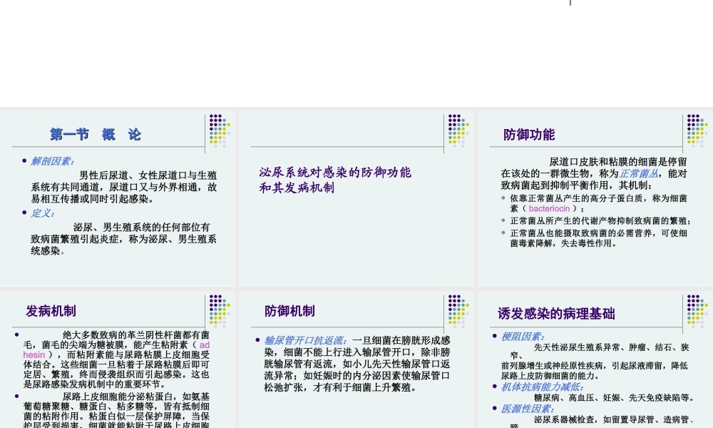 泌尿男生殖系统感染.ppt