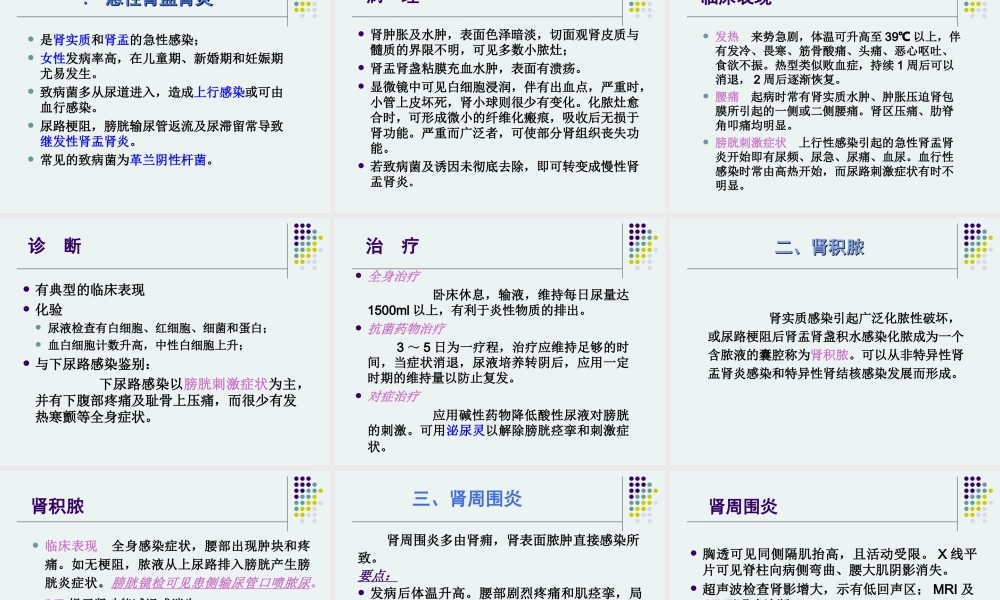 泌尿男生殖系统感染.ppt