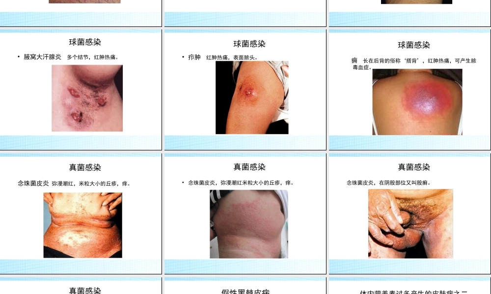 浅谈体内营养素水平与皮肤病的关系.ppt