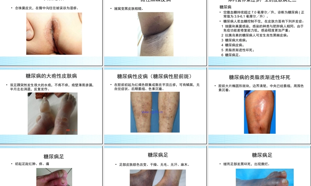 浅谈体内营养素水平与皮肤病的关系.ppt