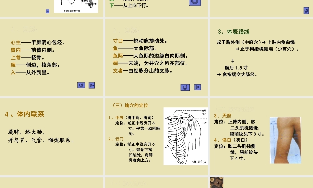 手太阴肺经11.ppt
