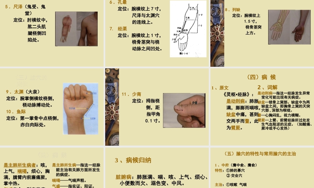 手太阴肺经11.ppt