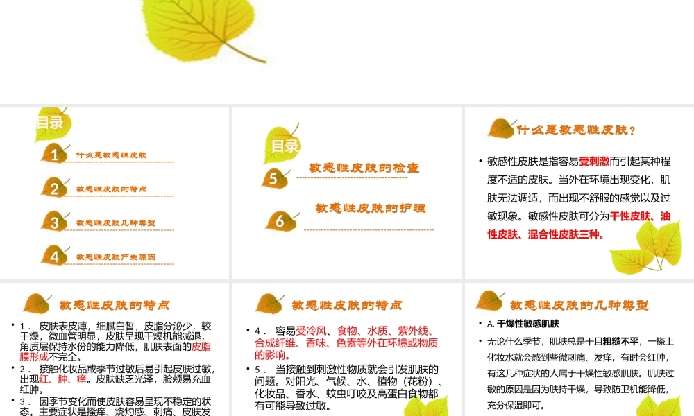 敏感性皮肤.pptx