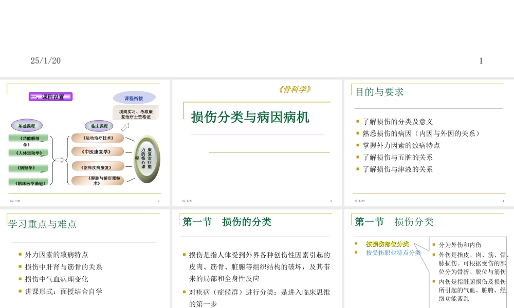 损伤分类与病因病机.ppt