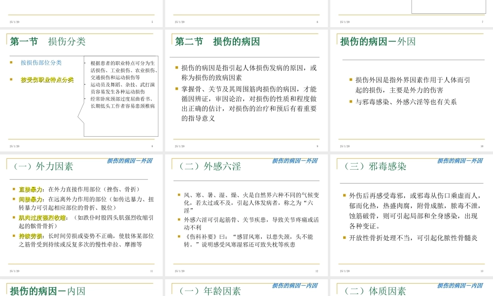损伤分类与病因病机.ppt