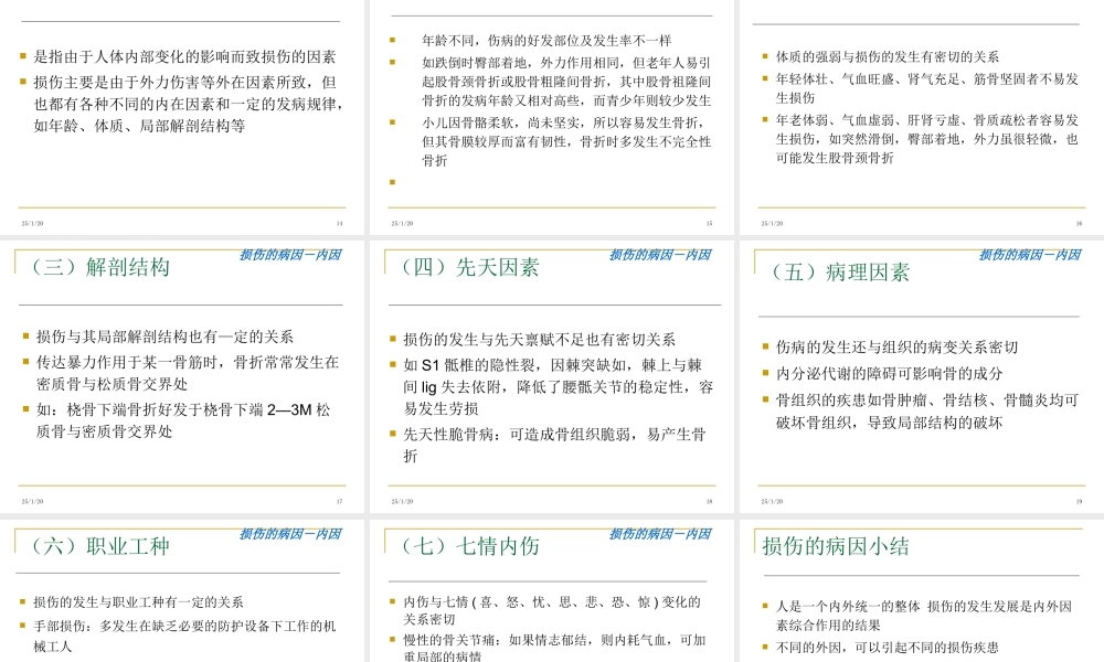 损伤分类与病因病机.ppt