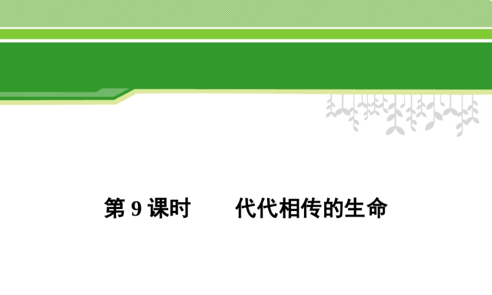 时代代相传的生命资料.ppt