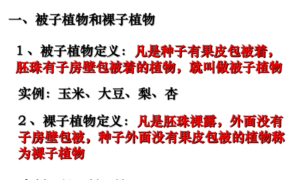 月季花药培养.ppt