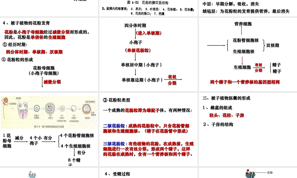 月季花药培养.ppt
