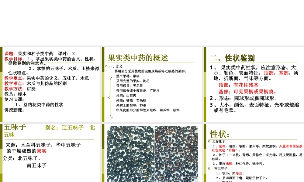 果实种子类药材.ppt