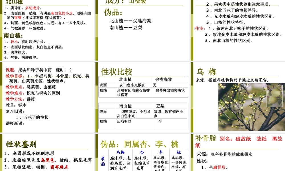 果实种子类药材.ppt
