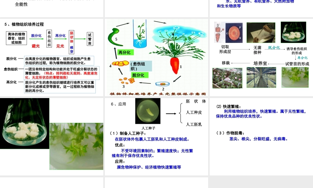 植物细胞工程3-2-1.ppt