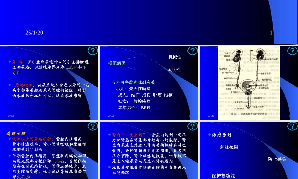 泌尿系统梗阻.ppt