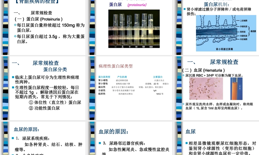 泌尿系讲稿总论2010-10-9.ppt