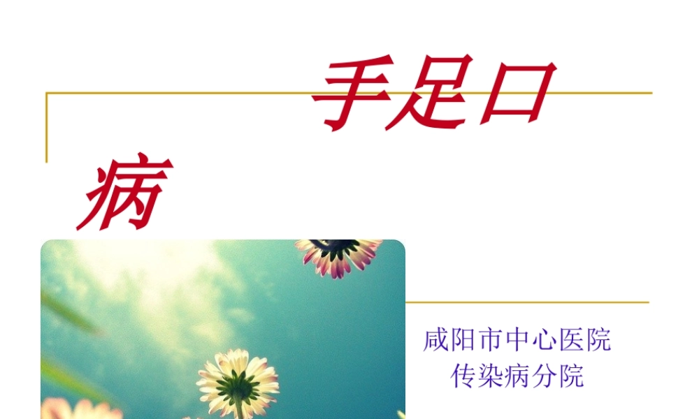 手足口病-陕西卫计委乡镇卫生院站群系统.ppt