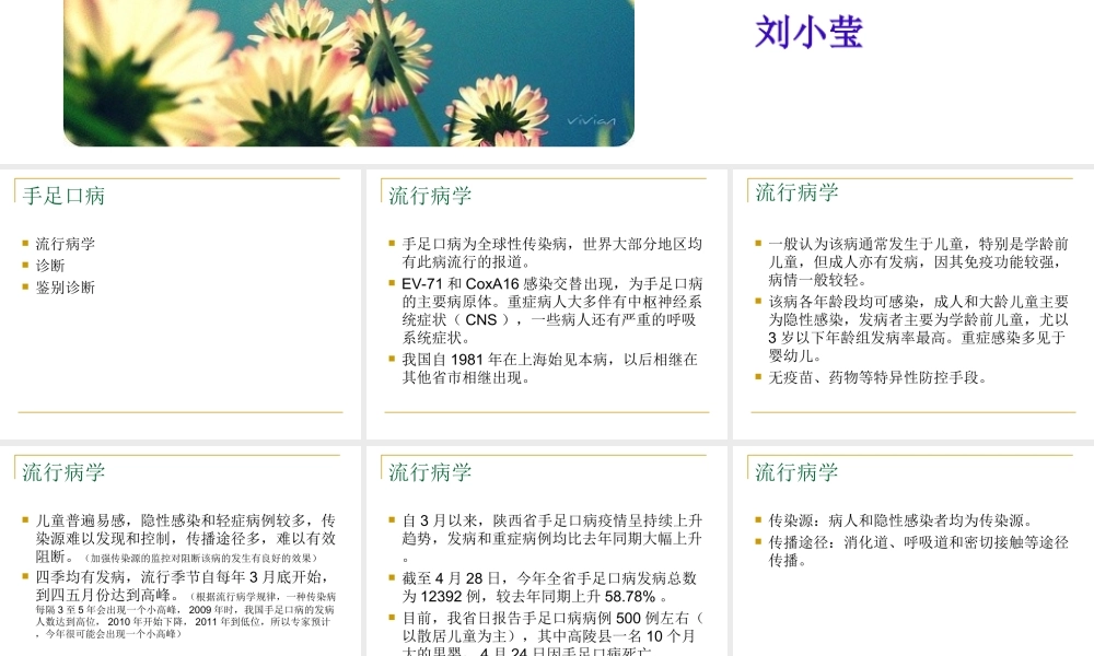 手足口病-陕西卫计委乡镇卫生院站群系统.ppt