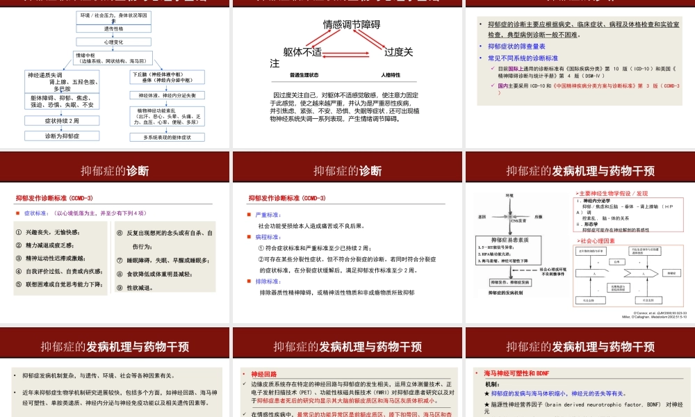 抑郁症的发病机制与干预策略.ppt