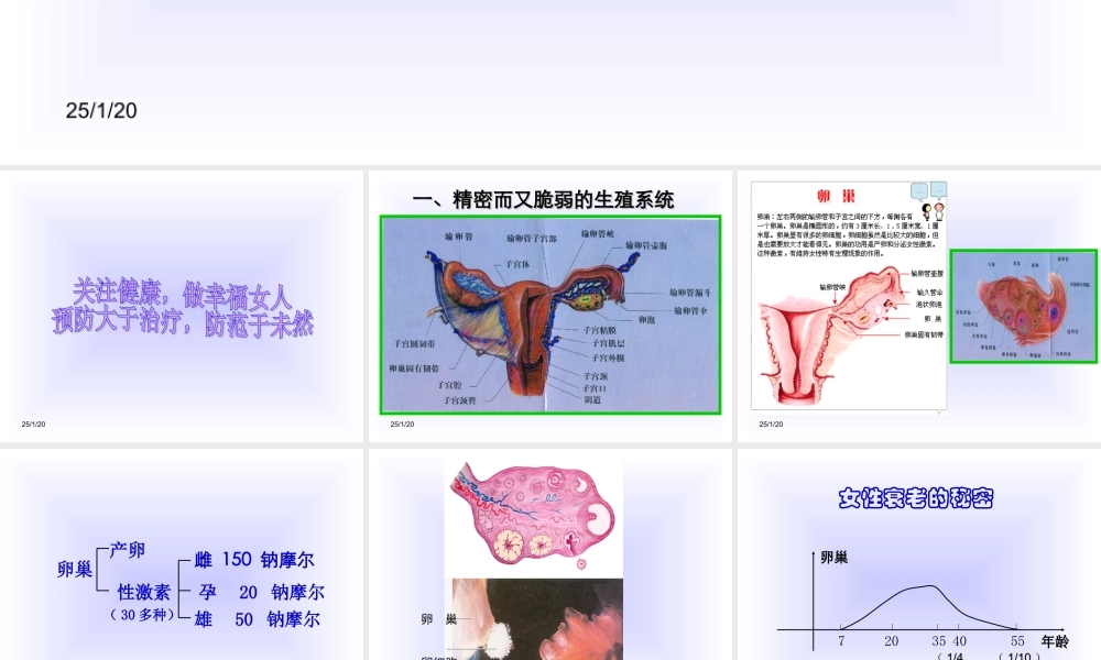 最新整理女性生殖健康讲座.ppt