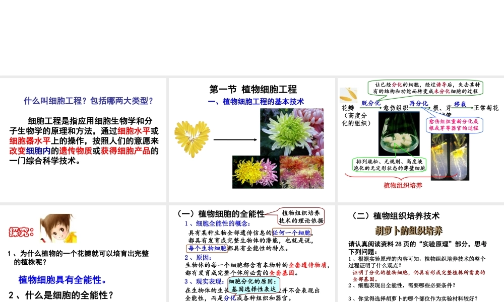 植物细胞工程.ppt