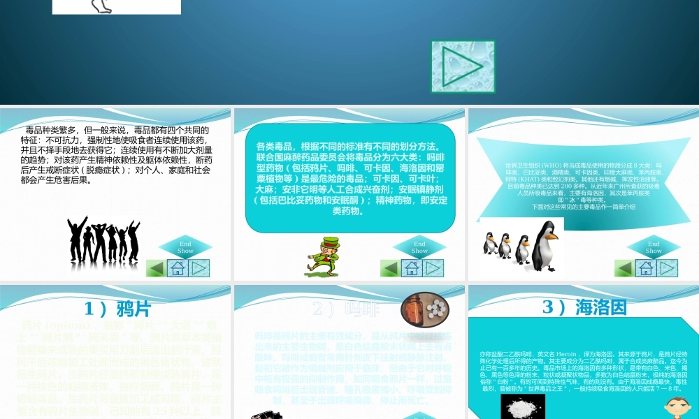 毒品的种类.pptx