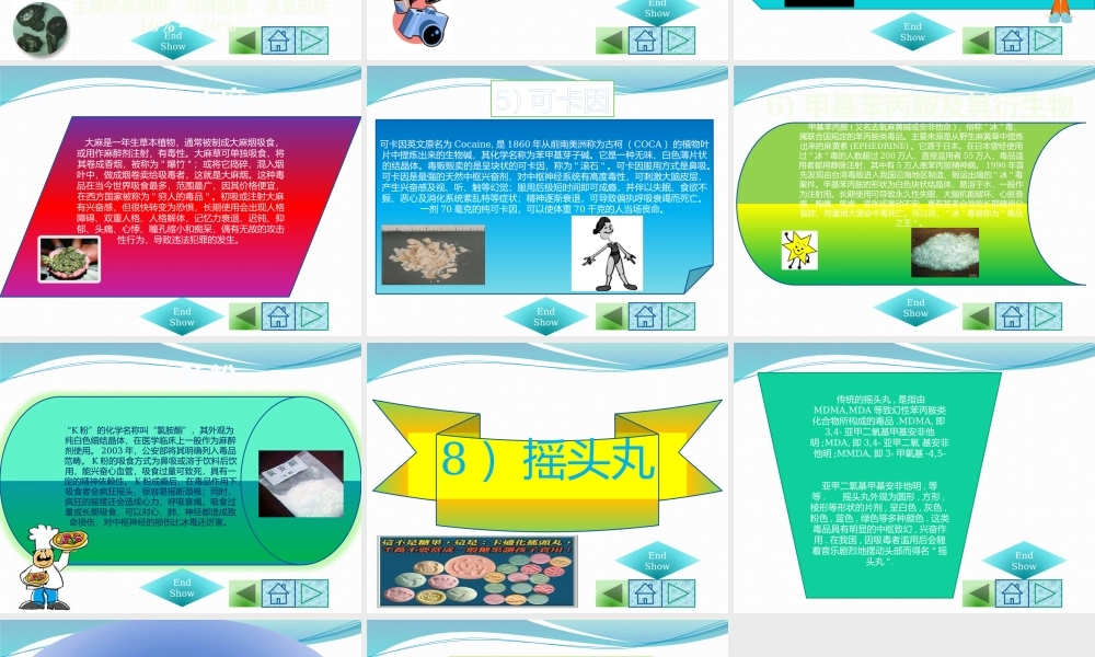 毒品的种类.pptx