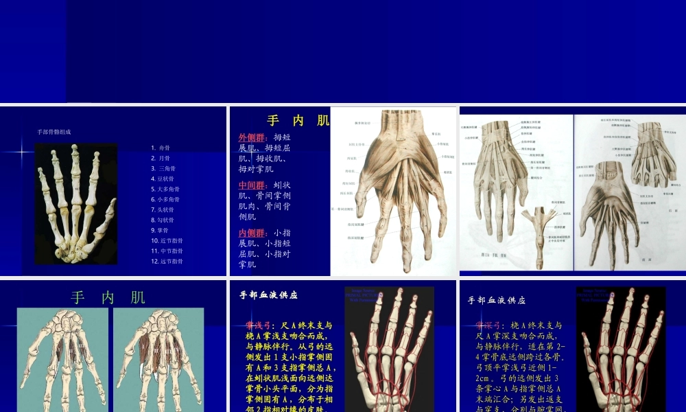 手外伤及断肢(指)再植(讲稿).ppt