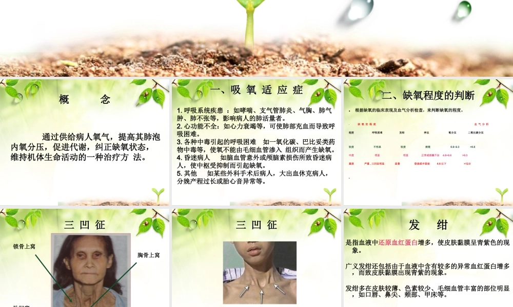 氧气吸入疗法及并发症的处理-(2).ppt