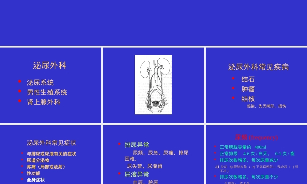 泌尿外科总论详解.ppt
