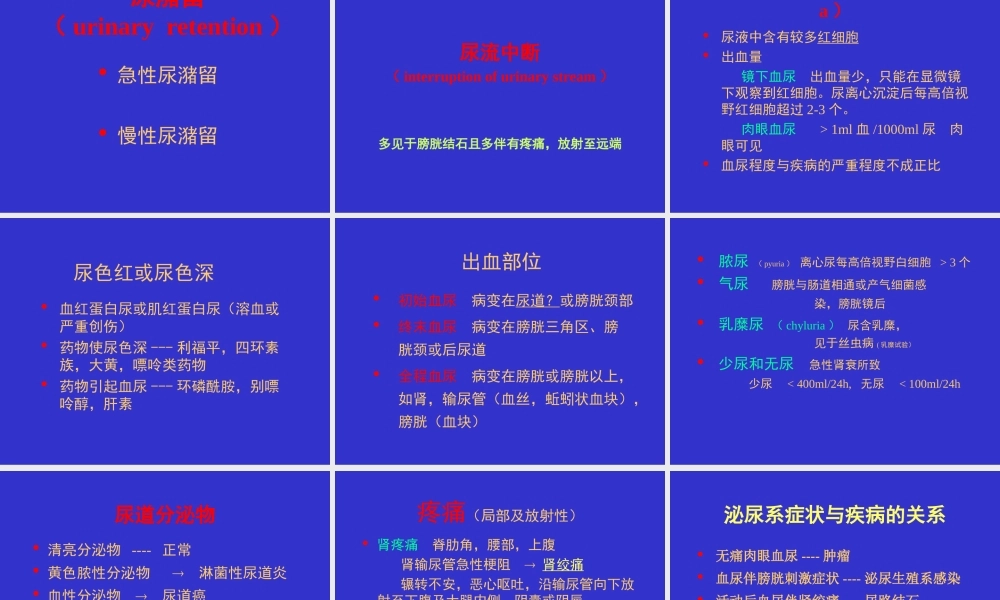 泌尿外科总论详解.ppt