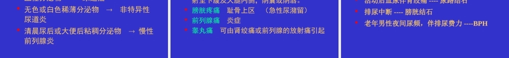 泌尿外科总论详解.ppt